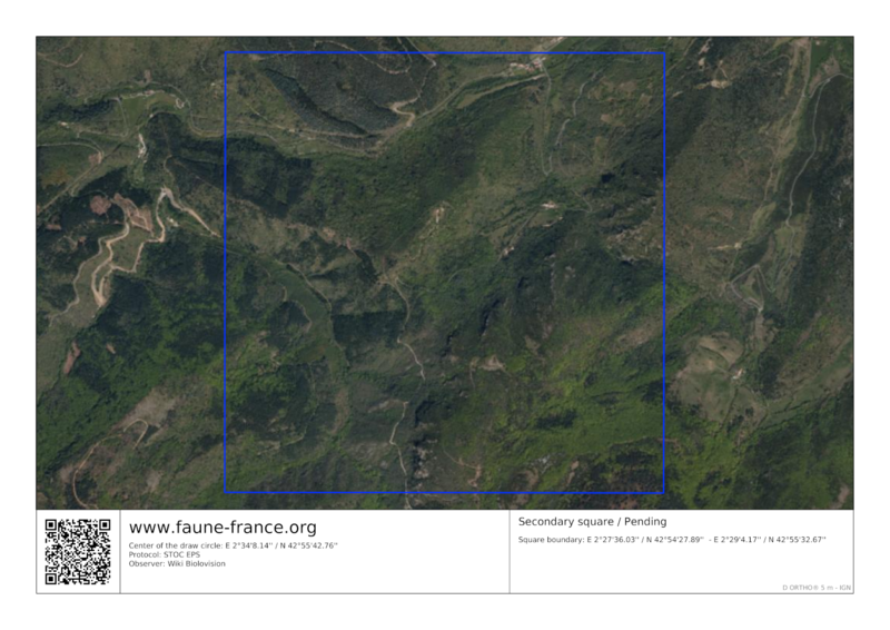 File:Sq to choose-2.png