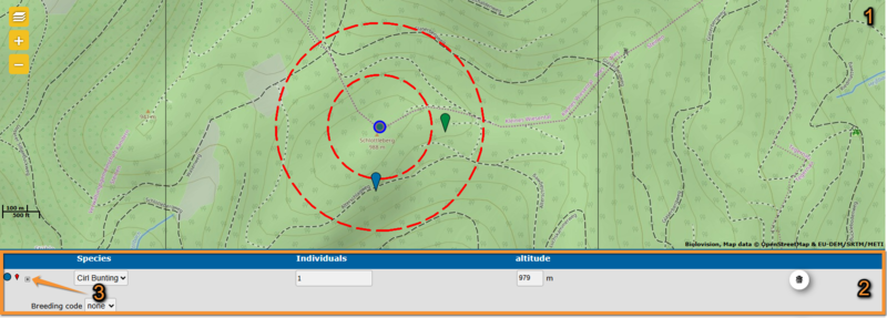 File:Cirl entering obs.png