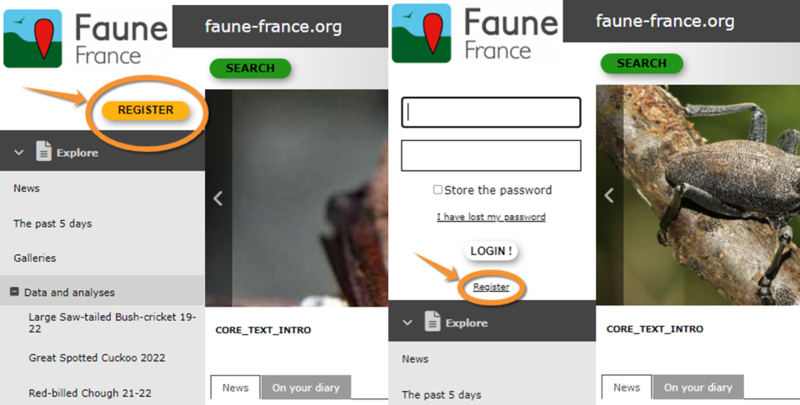 File:Registration WIKI.png